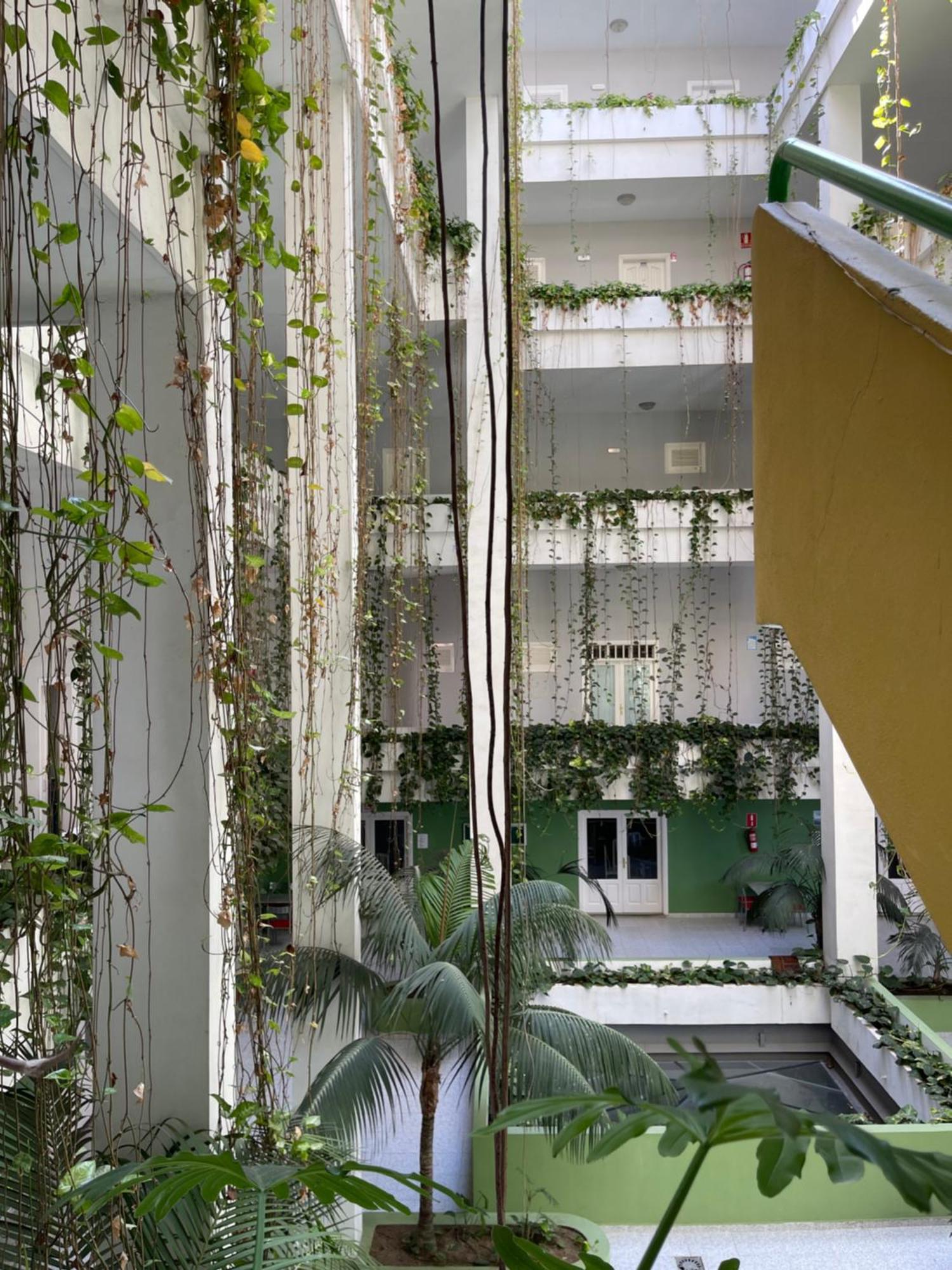Appartement Bahia I à Puerto de la Cruz  Extérieur photo